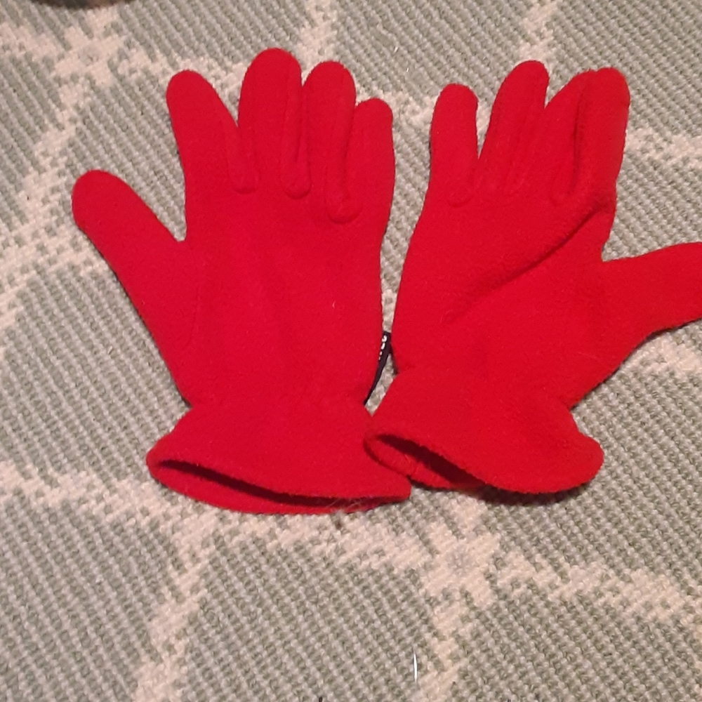 Polartec winter or fall gloves